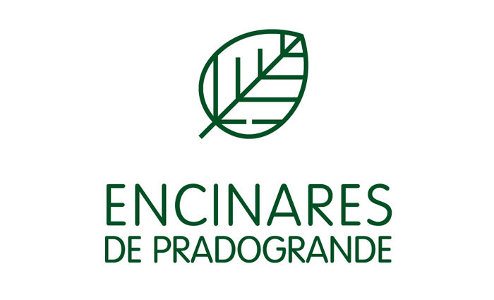 logo encinares pradogrande