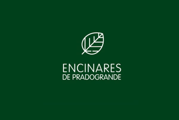 trabajos branding grafico encinares de pradogrande madrid grid